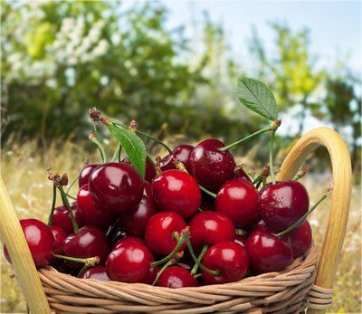 太原什么样的医院能治疗银屑病呢?